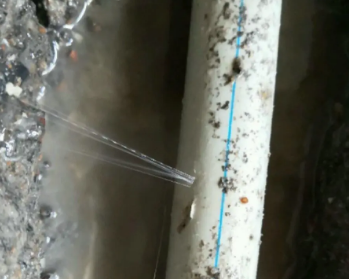 阜城卫生间测漏水多少钱
