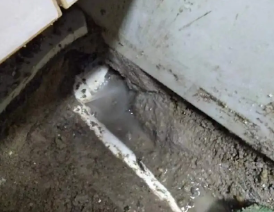 阜城卫生间测漏水多少钱